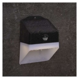 Wall luminaire with solar panel 220 lm PIR neutral white