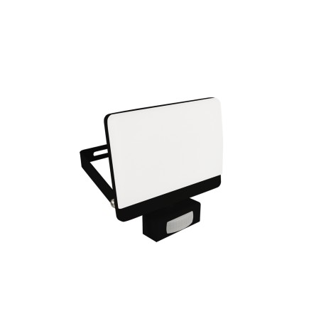 LED floodlight with a motion sensor 30W Bryza neutral white