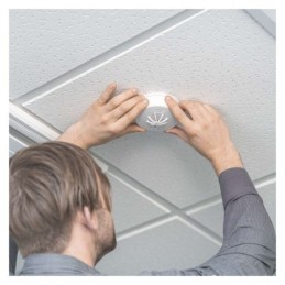 Fire detector P56300