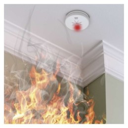 Fire detector P56300