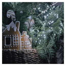 LED nano valguskett 8m / siseruumidesse / külm valge / taimer