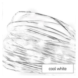 Sidabrinė LED Kalėdų šviesos grandinė 10 m / skirtas naudoti lauke ir patalpose / šaltai balta / laikmatis