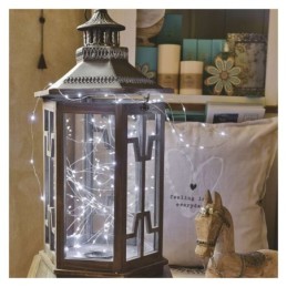 Sidabrinė LED Kalėdų šviesos grandinė 10 m / skirtas naudoti lauke ir patalpose / šaltai balta / laikmatis