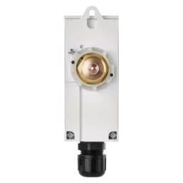 Immersion thermostat P5686