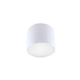 Ceiling LED lighting fitting - rolen led 3w white nw