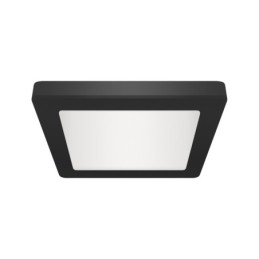 Lubų LED šviestuvai Olga LED D 12W juodi cct