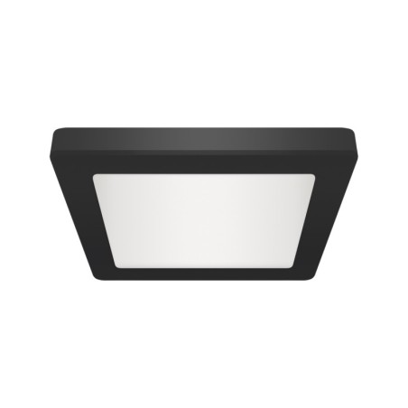 Lubų LED šviestuvai Olga LED D 12W juodi cct