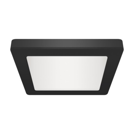 Lubų LED šviestuvai Olga LED D 18W juodi CCT