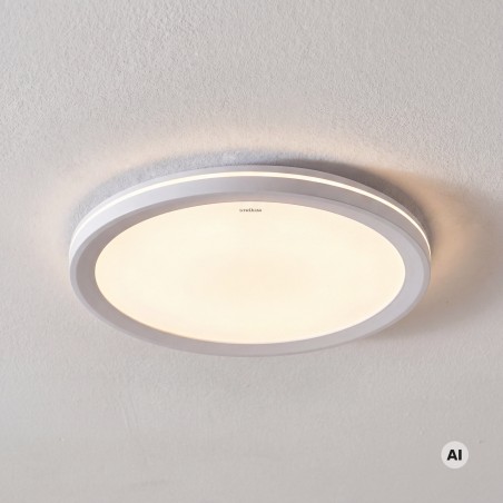 Ceiling light, Amadeus LED 24W CCT white