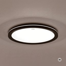 Laevalgusti, plafoon Amadeus LED 24W CCT must