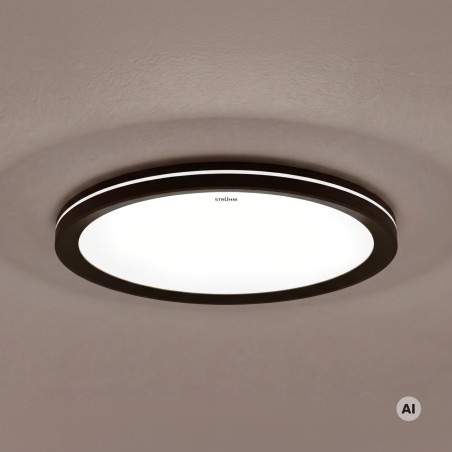 Ceiling light, Amadeus LED 24W CCT, black
