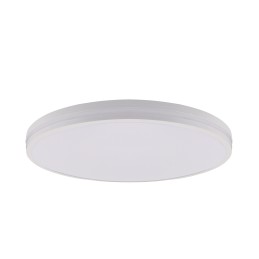 Laevalgusti plafoon DYNAMO LED 12 / 18 / 24W CCT IP54 valge