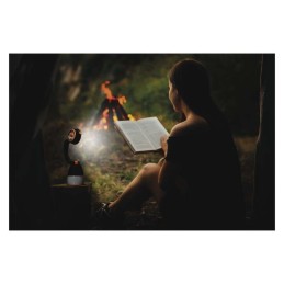 Žygiai lempa/Žibintuvėlis/Žibintas/Stalinė lempa LED 215 lm, 3xAA