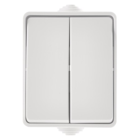 Surface mounted switch double IP54 white
