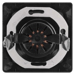 LED dimeris TRIAC įmontuotas, antracitas