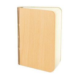 Stalinė lempa, naktinė lempa, toršeras Album LED 1,6 W USB