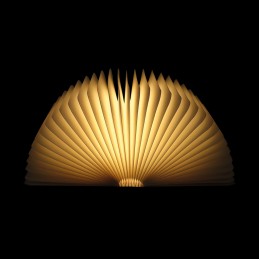 Stalinė lempa, naktinė lempa, toršeras Album LED 1,6 W USB