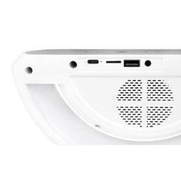 Radijas, laikrodis, įkroviklis, garsiakalbis, LED lempa RGB 5 W  225 mm