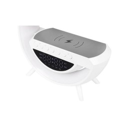 Radijas, laikrodis, įkroviklis, garsiakalbis, LED lempa RGB 5 W  225 mm