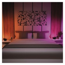 LED lempa aplinkos RGBW turi GoSmart WiFi