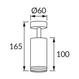 Настенно-потолочный светильник Zula spt Gu10 черный