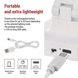 LED desk lamp 5W AMY, rechargeable